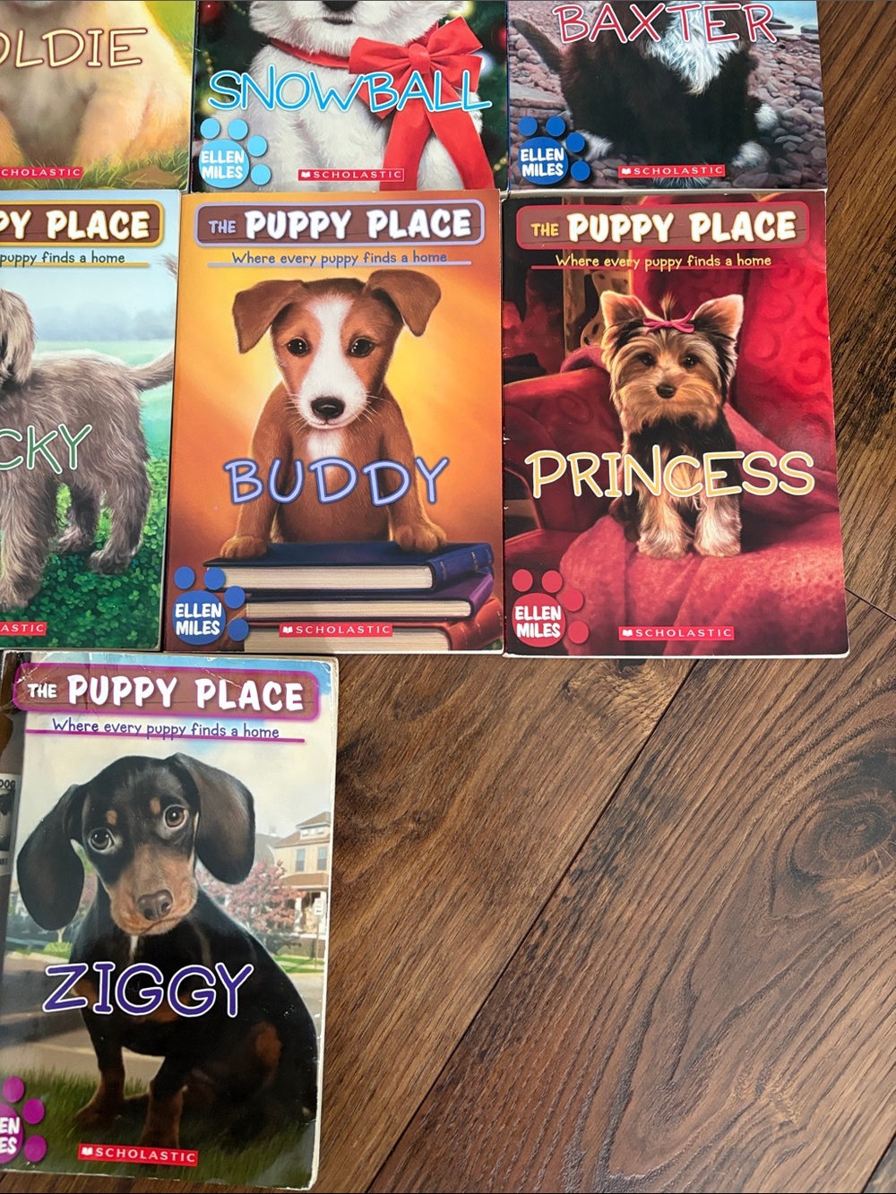 Scholastic Puppy Place Collection — Bright Multi‑Color Puppy Covers - Picture 5 of 9